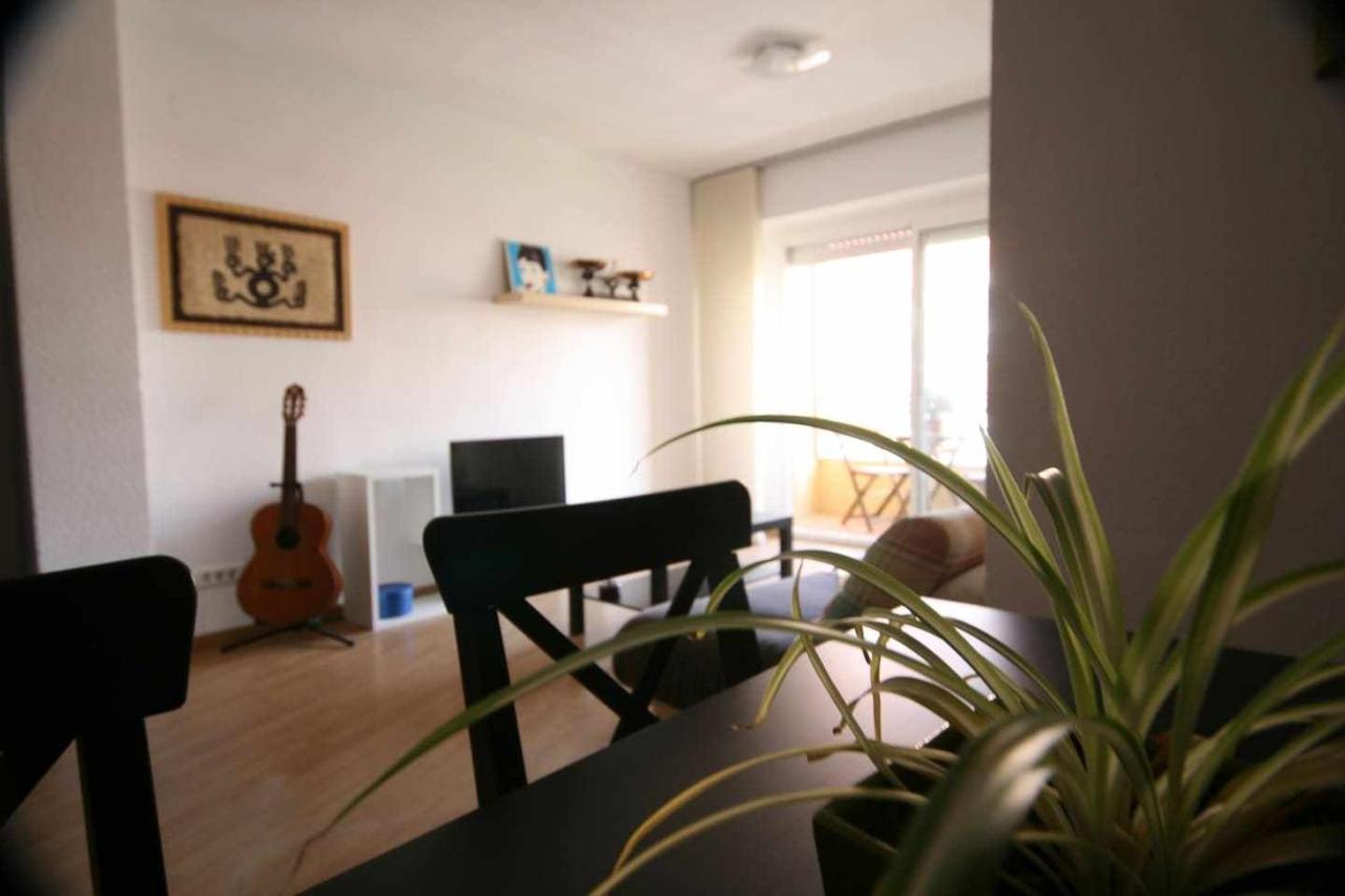 Apartment Minvas Centro *